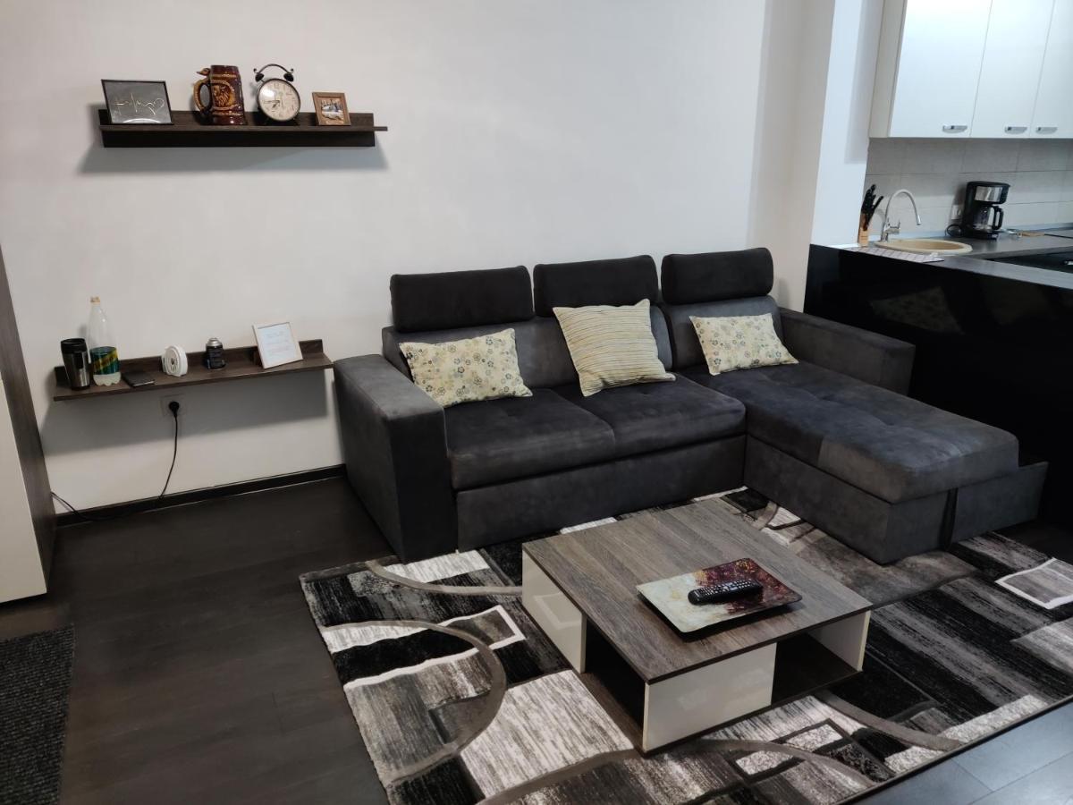 Avangarden Apartment Брашов Екстер'єр фото